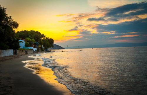 Villa Teresa Luxury Suites - Photo 58