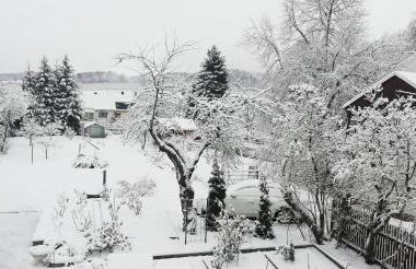 Ferienhaus Köhler - Foto 38