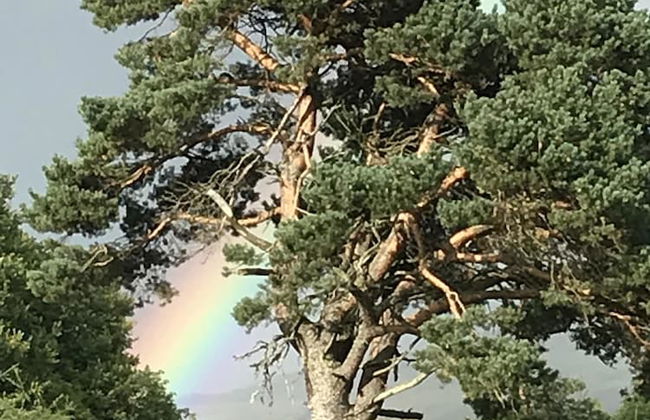 Hillside Havens - Foto 53