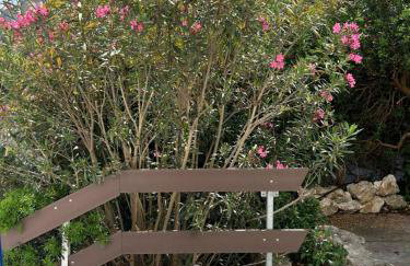 Apartment Lavanda - Photo 27