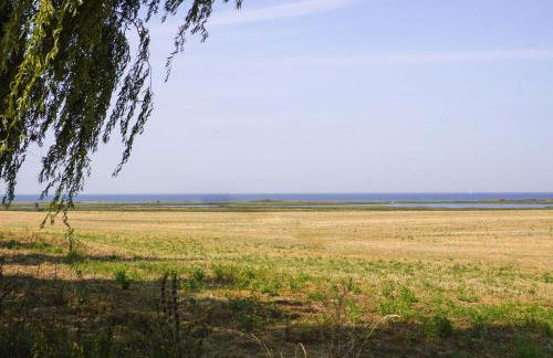 DünenMeer Ferienwohnung - Photo 35