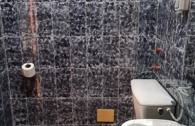 Olive Garden Apartments Petrovic - Foto 21