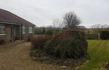 Woodpeckers Cottage - Foto 28