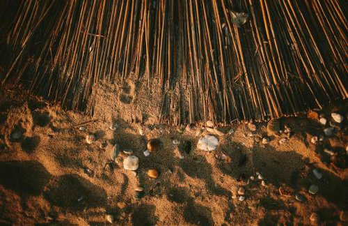 Zonita Guest House - Foto 37