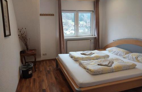 Talblick & Ruhe in Hirschhorn Langenthal - Foto 5