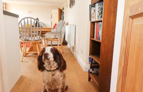 The Garden Apartment - Photo 10