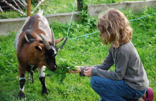 FERIENHOF KATZENMAIER, Bauernhof- und Familienurlaub am BODENSEE, großzügig wohnen, MESSENAH und teils BARRIEREFREI, Spielangebot für drinnen und draußen, Parkplatz am Haus, gute ÖPNV-Anbindung - Foto 26