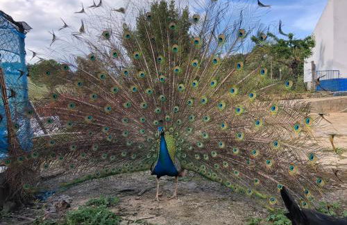 Monte de Stª Margarida - Foto 44
