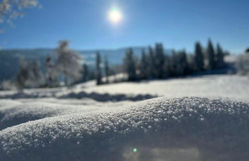 Landhaus Eibelesee - Foto 61