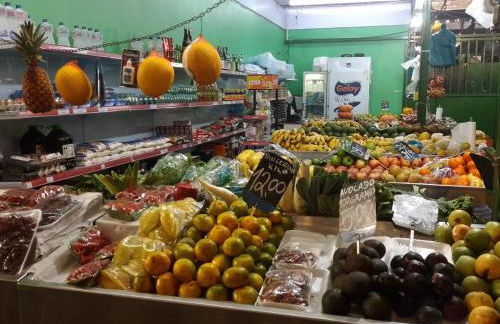 Apartamento Parque Jardim Europa - Foto 13