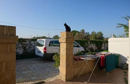 Stella Dei Campi - Foto 31