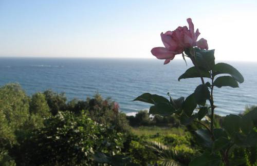 Areti Studios - Foto 68