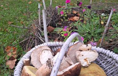 Chata Nova - Foto 37