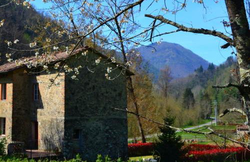 Dreamy Cottage in Trebbio with Pool - Foto 25