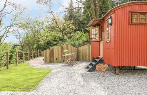 Little Silver Owl - Foto 4