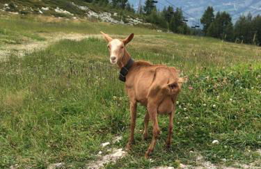 Les ARCS 1600 - SKI AUX PIEDS - MAGNIFIQUE DUPLEX 12 PERSONNES - Foto 63