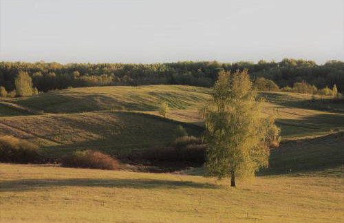 Dom wakacyjny w Kiersztanowie Ładnie Tu - Foto 54