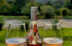 Casa do Bem Estar Picada Café - Foto 4