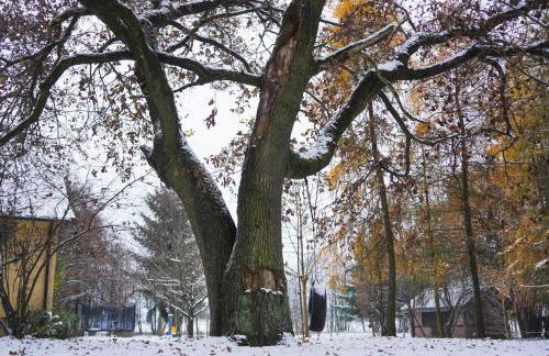 Siedlisko Otulenie - Photo 37