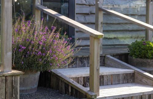 The Pig Arc - Foto 71