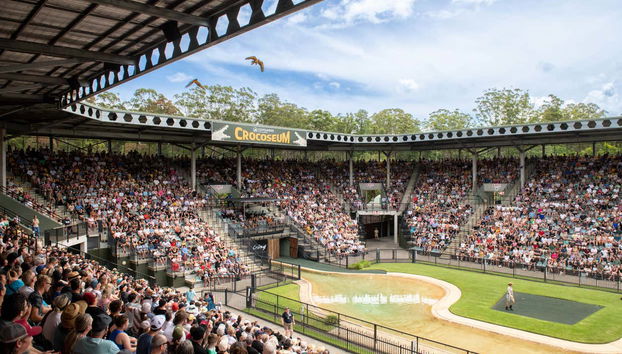 Escursione all'Australia Zoo - Foto 5