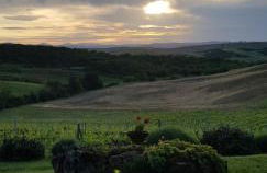 Agriturismo Bagnaia - Foto 12