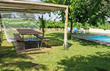 Monte das Aranhas - Foto 7