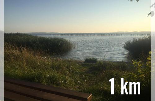 Dat-Klinkerhus-auf-Ruegen-XXL-Urlaubsparadies-nahe-Ostseestrand-Nationalpark-fuer-17-Gaeste - Foto 42