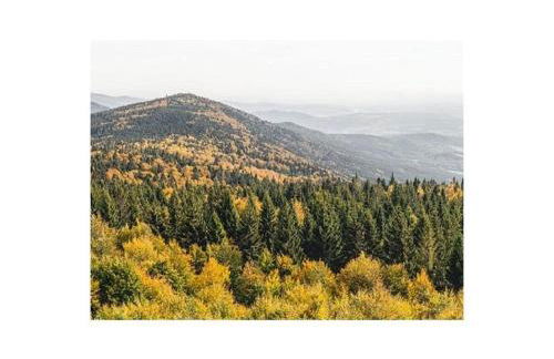 Family- friendly apartment in bavarian forest - Foto 22