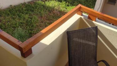 Dedalos n3 Sea View apartment-30 metres from the beach - Foto 3, Garden, Garden view