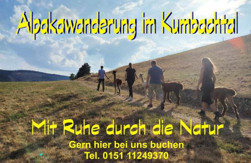 Ferienhaus im Kumbachtal - Foto 35