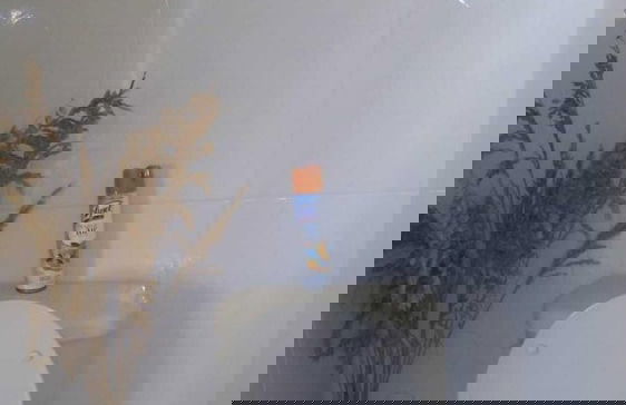 Pine Island Resorts - Foto 19