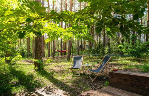 Masuria Warsaw - dom na wyłączność - w lesie i przy rzece - 15 min od Warszawy - Foto 8