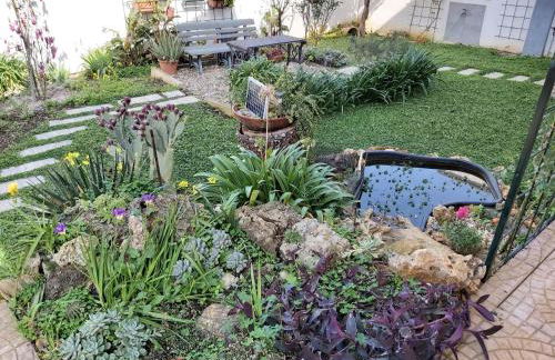 La perla della Conca d'Oro - Foto 29