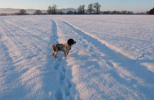 Gilberts End Farm - Foto 25