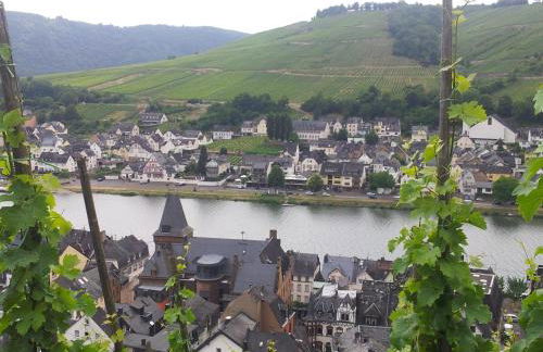 "Ferienhaus An der Mosel" - Foto 59