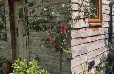 The Cabins Conwy - Foto 34