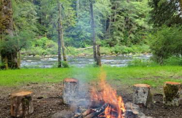 A Relaxing Getaway-A Backwoods Cabin SolDuc River - Foto 47