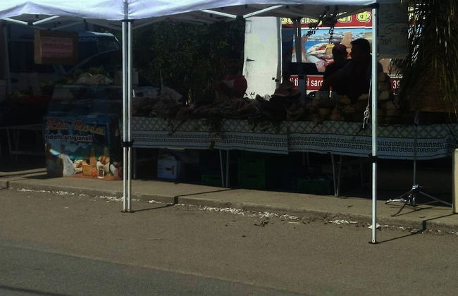 a Stone's Throw Away From Foximannana in the Foreground - Tertenia - Photo 27