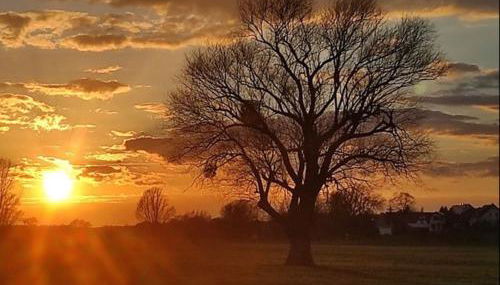 LWB Ferienwohnung "Auszeit im Denkmal" - Foto 4