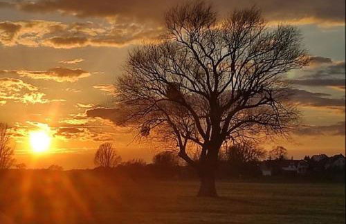 LWB Ferienwohnung "Auszeit im Denkmal" - Foto 4