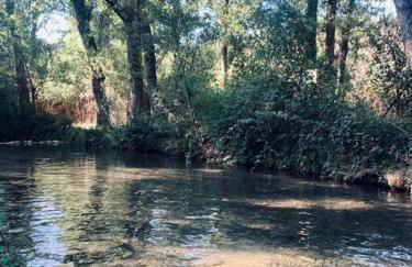 Azahares Apartamento turístico - Foto 1