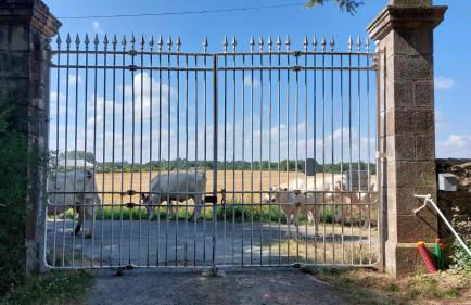 Château Doré les Tours - Appartement Renard - Proche Puy du Fou - Photo 28