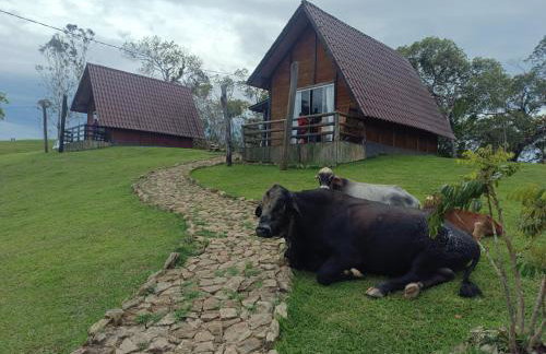 Chalé Refúgio nas montanhas - Foto 24