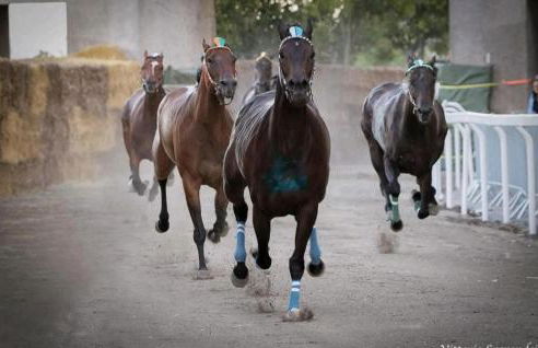 La casina di Karol - Foto 31