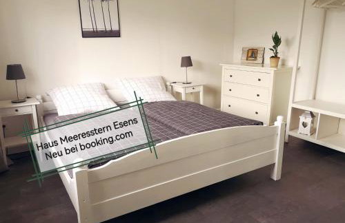 Haus Meereswind Esens, Wintergarten mit Kamin - Foto 33