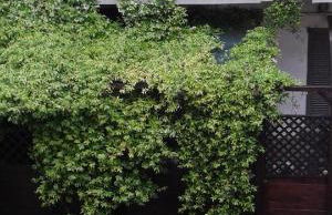 Appartamento Via Comune Antico - Foto 15