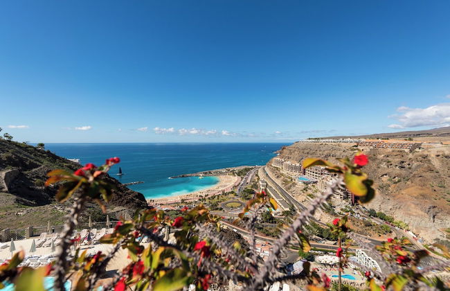 Holiday Club Jardin Amadores - Photo 30