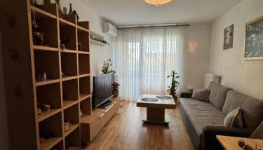 Apartament Wiatraczna - Foto 5