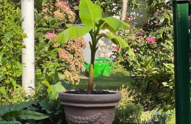 Appartement am Teich - Foto 41